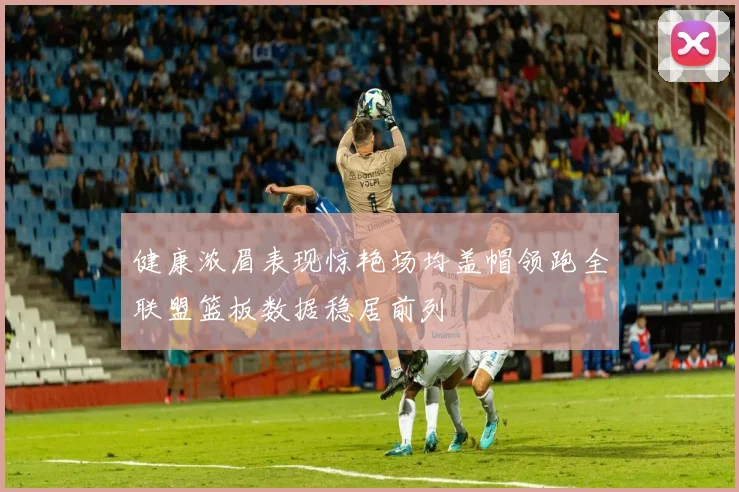 健康浓眉表现惊艳场均盖帽领跑全联盟篮板数据稳居前列