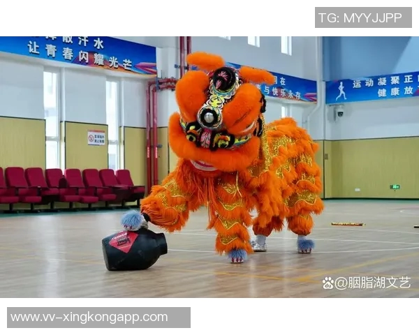 佛山南狮基本确认2026赛季将继续扎根佛山发展 佛山南狮基本确认2026赛季将继续扎根佛山发展